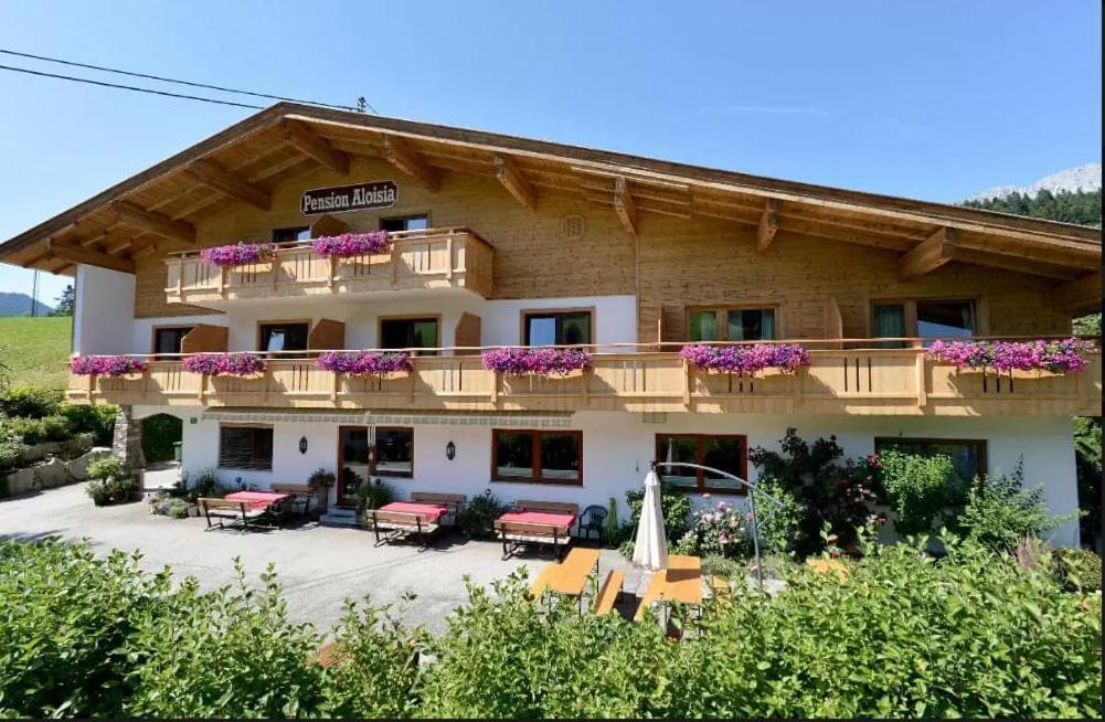 Pension Aloisia Scheffau am Wilden Kaiser Exterior photo