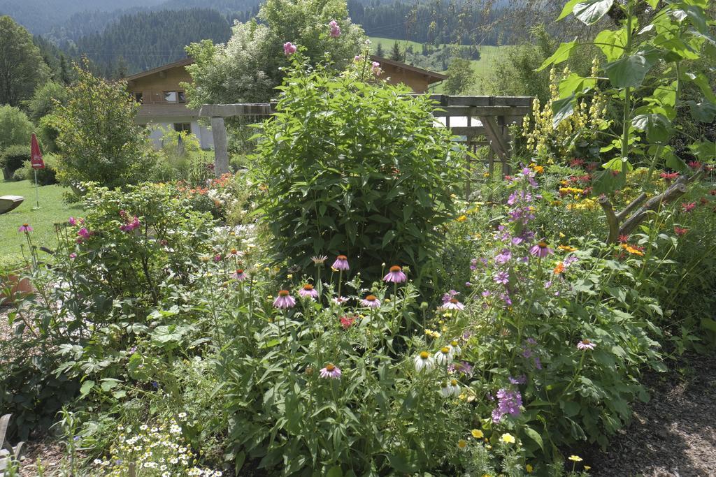 Pension Aloisia Scheffau am Wilden Kaiser Exterior photo